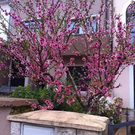 Ivankovic*** 아파트 풀라