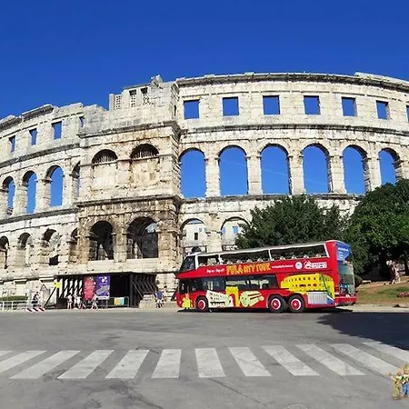 Ivankovic*** * 풀라