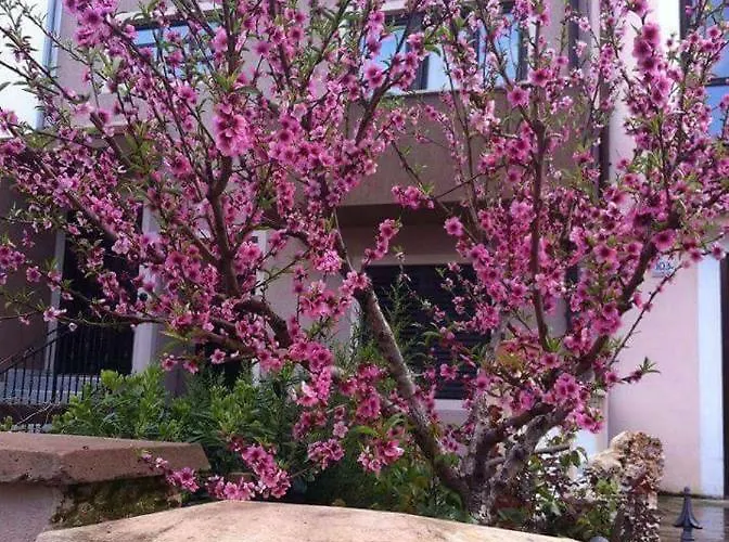 Ivankovic*** Lejlighed Pula