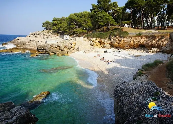 Ivankovic*** * Pula
