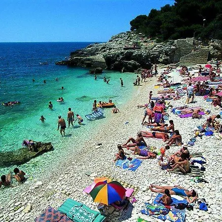 Lägenhet Ivankovic*** *