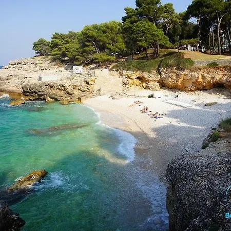 Ivankovic*** * Pula