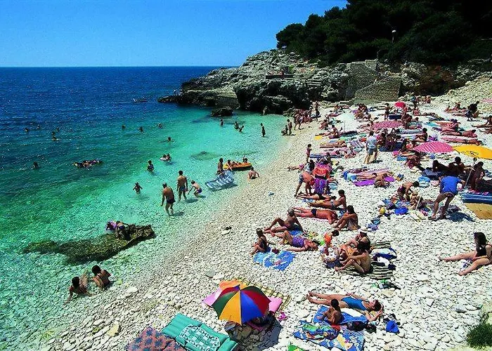 Apartman Ivankovic*** *